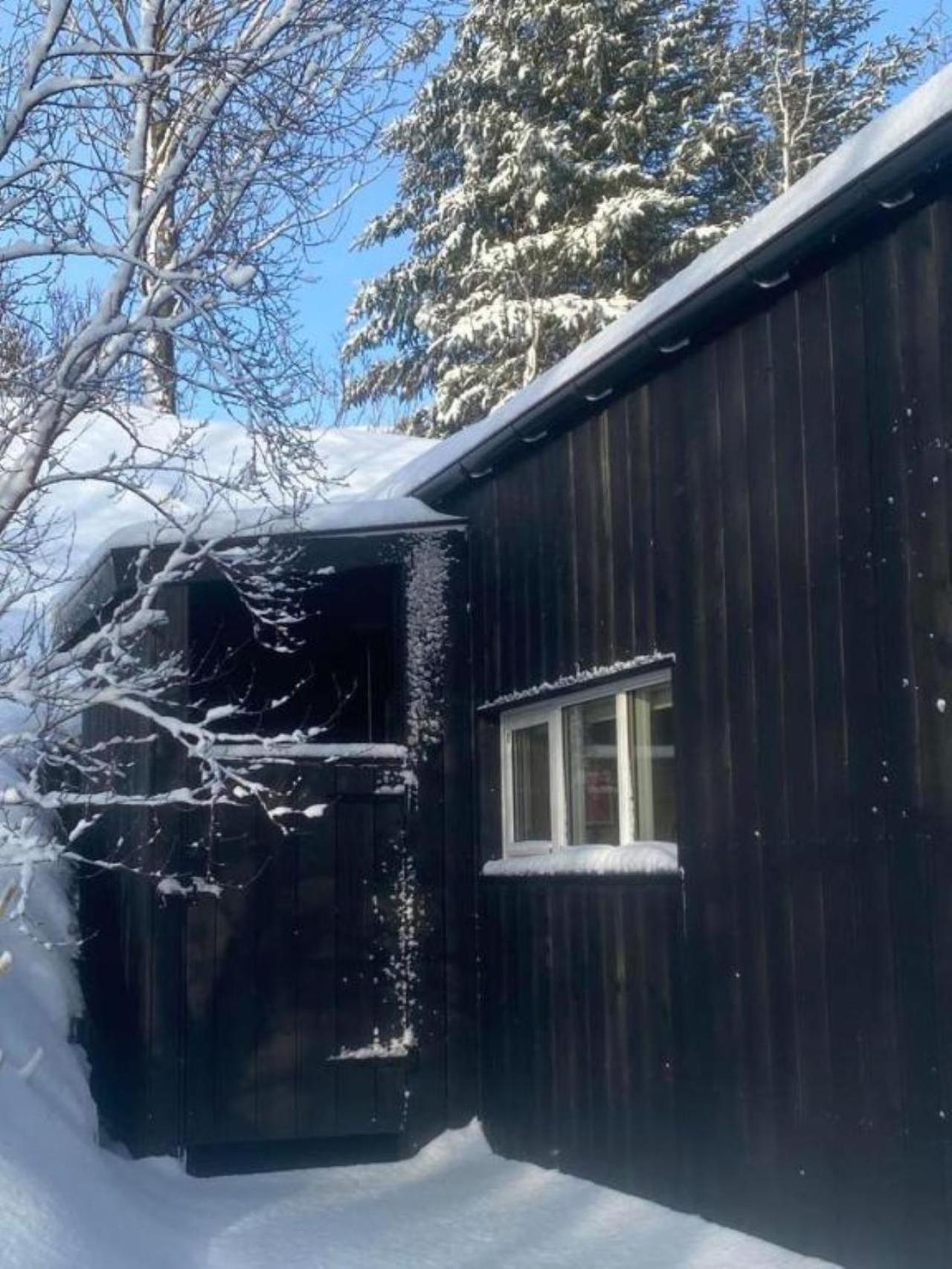 Audkula Dome Cabin Διαμέρισμα Hella Εξωτερικό φωτογραφία