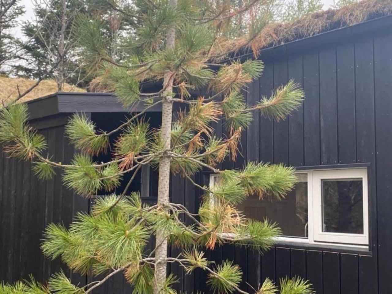 Audkula Dome Cabin Διαμέρισμα Hella Εξωτερικό φωτογραφία